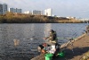 Pictures 039